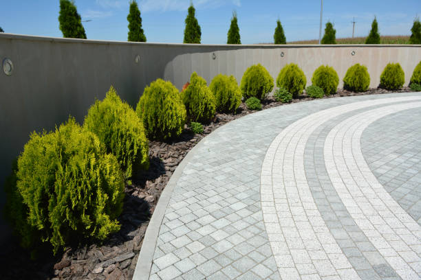 Best Driveway Paver Sealing  in Prairie Creek, AR